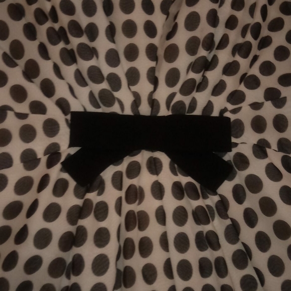 Coldwater Creek Pocka Dot Dress Size 8. Beautiful. - Picture 6 of 16